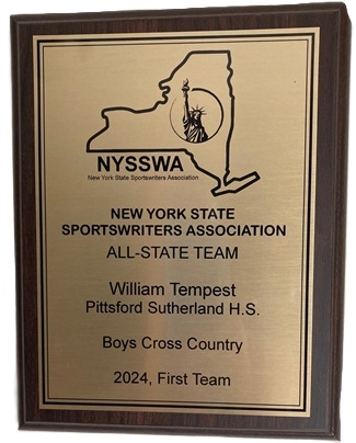 NYSSWA all-state plaque